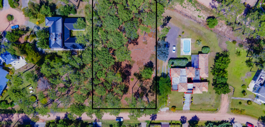 LAGUNA BLANCA • M3