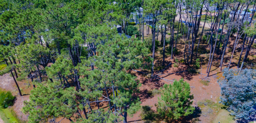 LAGUNA BLANCA • M3