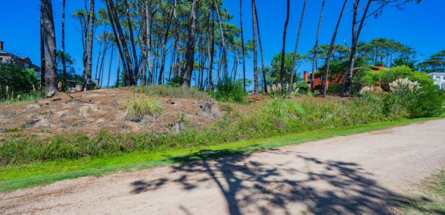 LAGUNA BLANCA • M3