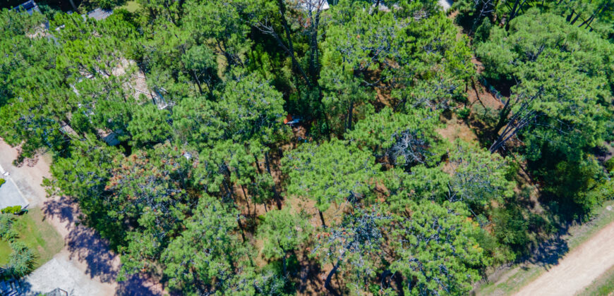 LAGUNA BLANCA • G7