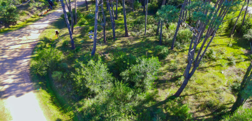 LAGUNA BLANCA • G7