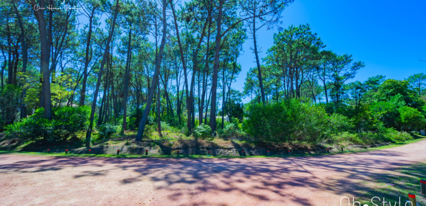 LAGUNA BLANCA • G7