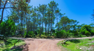 LAGUNA BLANCA • G7