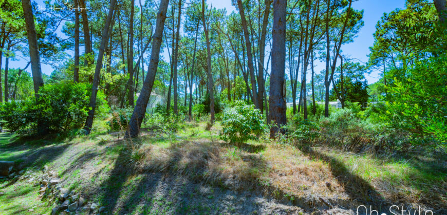 LAGUNA BLANCA • G7