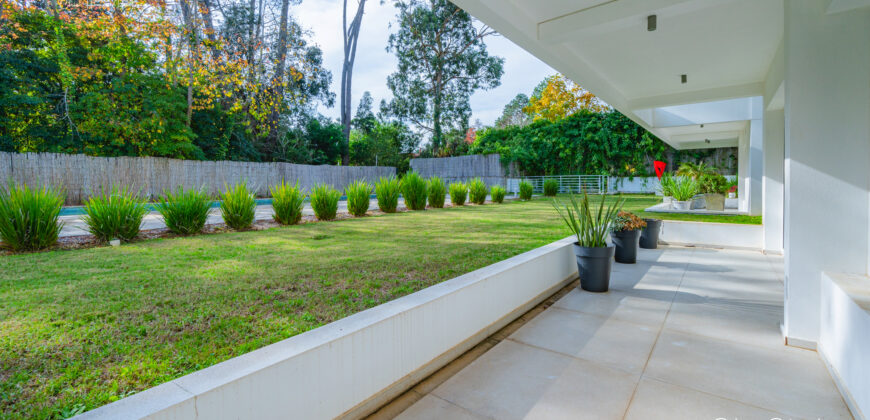 ANGELINA FORESTA • DÚPLEX